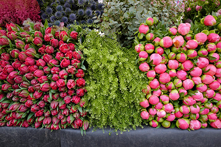 bastille market |paris | 2023